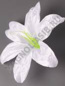 Лилия атлас 1сл 19см с тычинкой (бел крас гол жёл мал) 