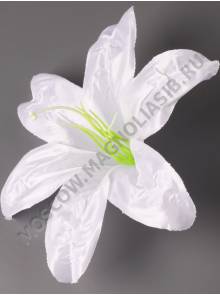 Лилия атлас 1сл 19см с тычинкой (бел крас гол жёл мал)