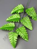 Лист папоротника  Орляк  7гр 31/41см (листики 10см)