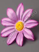 ***Ромашка атлас 1сл 10см (гол роз сир свек оранж)