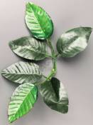 Лист розы шёлк 6 листьев 25см  (средн отверстие на толстый стебель)