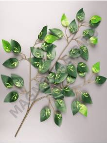 Ветка фикуса пестрого 61см