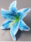 Лилия тигровая хлопок 20см без тычинки (син сир)(тыч. 2200,2211,2205)