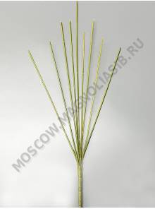 Нога для букета без листьев 9гр 42см