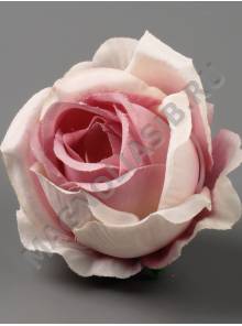 Роза Кружевная кустовая сатин 6см (бел крас крем крем-роз сир)