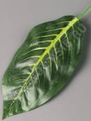 Лист фикуса крупнолистного с прожилками 20/37 см.
