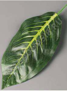 Лист фикуса крупнолистного с прожилками 20/37 см.