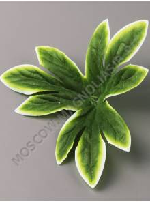 Подразетник лист пиона со светлой кромкой нетк 14см