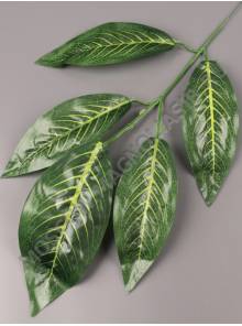 Ветка манго 5 листиков  Зеленый Кощей 36/58см (листик 16-19см)