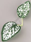 ***Лист гипоэстеса двойной 17см 