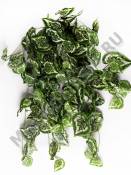 Куст зелени флористической 1,0 м