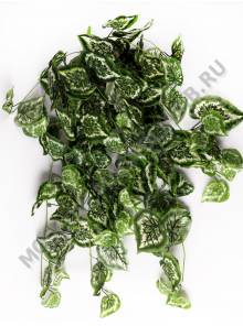 Куст зелени флористической 1,0 м