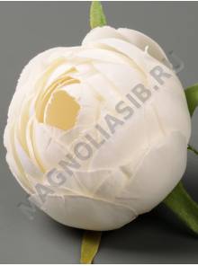 Камелия натуральная сатин 6,5см (бел борд гол крем пеп-сир)