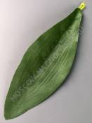 ***Лист орхидеи плотный хлопок 20.5см