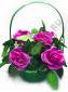  Корзина-клумба с розами выс. 33см шир. 25см