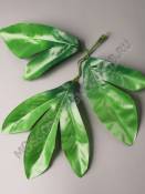 Лист пиона шелк 19 см (зеленый и темно-зеленый)