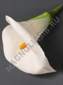 Калла трубчатая в комплекте флок 10см (бел крас роз корал сир слив)