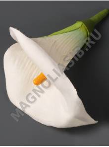 Калла трубчатая в комплекте флок 10см (бел крас роз корал сир слив)