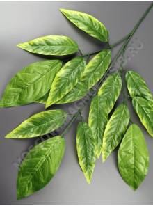  Ветка Манго 3 ветки молодая зелень 70см