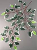 Ветка фикуса с белой кромкой эконом 61см