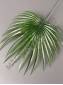 Лист пальмы пластм круглый 20/40см (т-зелен )