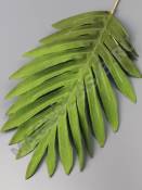 Лист пальмы флористический матовый хлопок 21/31см