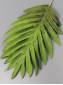 Лист пальмы флористический матовый хлопок 21/31см