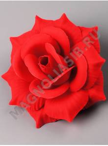 Роза Амадеус бархат 5сл 15.5 см(красная)