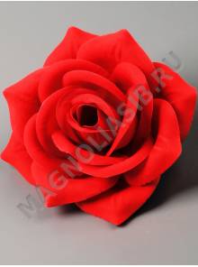Роза Грант бархат 5сл 14см (красная)