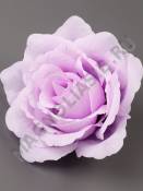 Роза Блессинг 5сл 12,5см (бел крас син перс роз бордо сир)/К