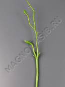 АКЦИЯ Стебель срезка для розы и бутона 36см