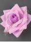 ***Роза уголком неткан 5сл 15см (роз перс)/К