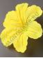 ***Колокольчик неткан. 1сл 13см с тычинкой (роз жёл)