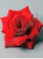 Роза бархат 3сл 13см (красный)/К