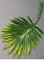 ***Добавка пластмасовая лист пальмы 12см