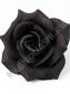 Роза бархат 4сл 14см (черный)/К
