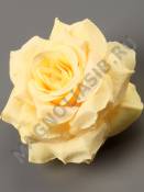 Роза Сливочная 10см (бел крас чай син сир жел фиол)