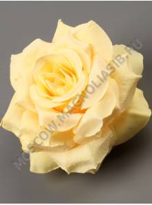 Роза Сливочная 10см (бел крас чай син сир жел фиол)