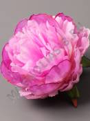 Пион махровый Бриллиант неткан 9 сл 13 см (слив борд сир лайм св-роз)/К