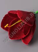 Крокус неткан. 2сл 9см (бел бело-фиол бело-сир мал жел оранж вишн микс)/К