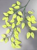 Ветка фикуса ярко-зеленого эконом 61см