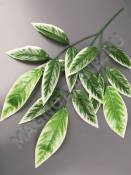 Ветка Манго 3 ветки зеленый лист с белой кромкой 70см.