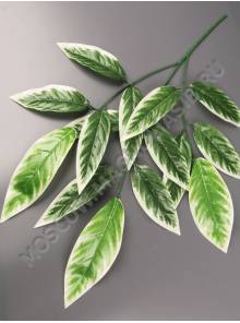 Ветка Манго 3 ветки зеленый лист с белой кромкой 70см.