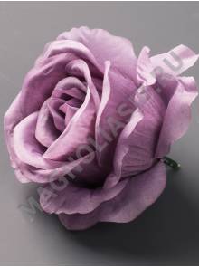 Роза Чайная полураскрытая хлопок 6сл 11см (бел крас б-роз роз слив сир лайм перс микс)/К