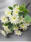 Букет георгинчиков со светлой зеленью 7гр*3цв 45см (белый)