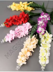 Люпин флорист 25/69см (микс)