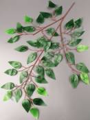 Ветка фикуса зеленого эконом 61см