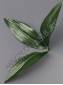 Лист лилии тройной  для толстого стебля  22см