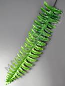 МоскваЛист папоротника шёлкового лесного большой 42/57 см