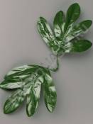 Лист пиона двойной 25см